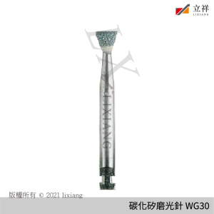 碳化矽磨光針 WG30